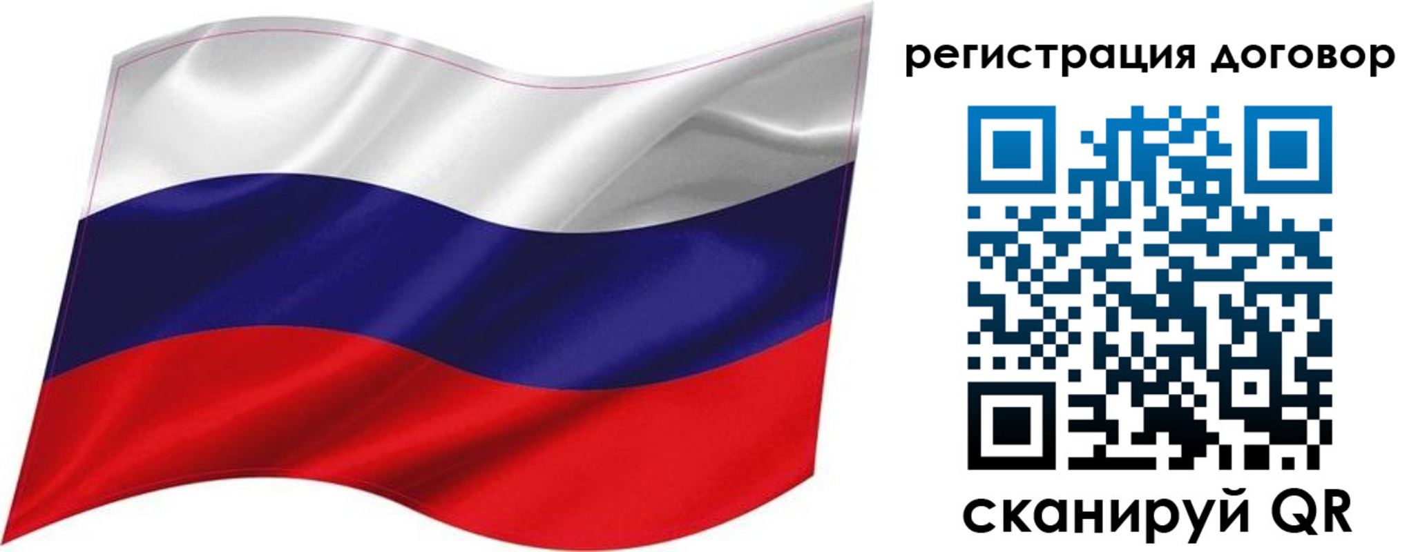 найти адрес прописки в Светлогорске