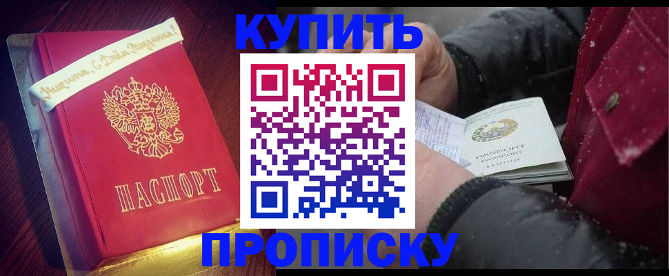 прописка гарантия в Светлогорске